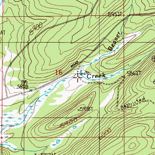 Topographic Map of Beaver Creek, ID