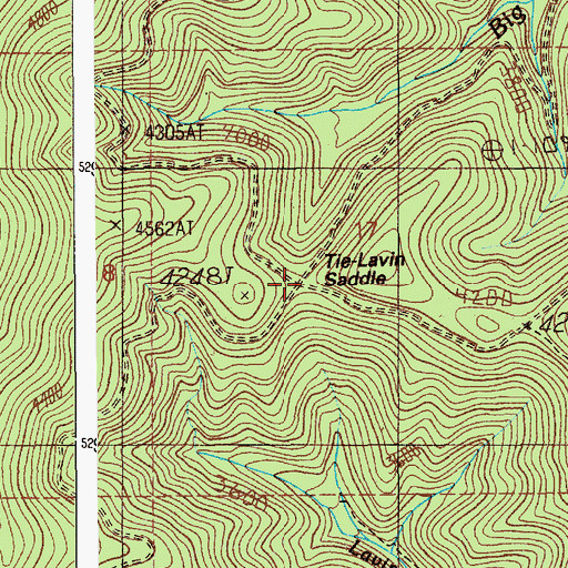 Topographic Map of Tie Lavin Saddle, ID