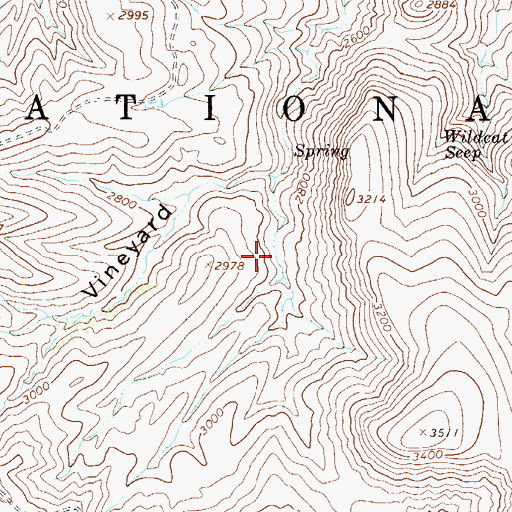 Topographic Map of Vineyard Spring, AZ