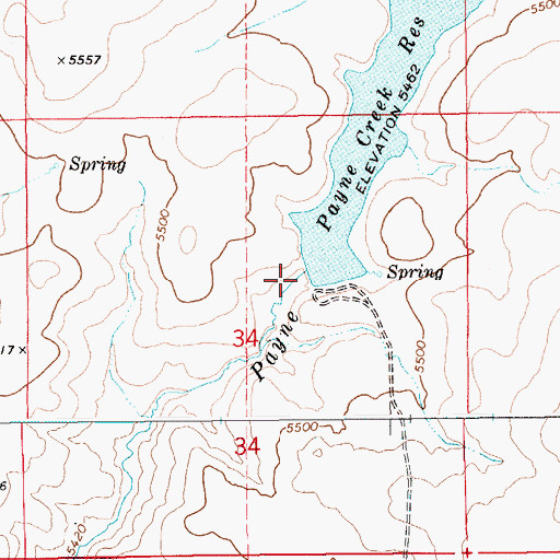 Topographic Map of Paine Creek Dam, ID