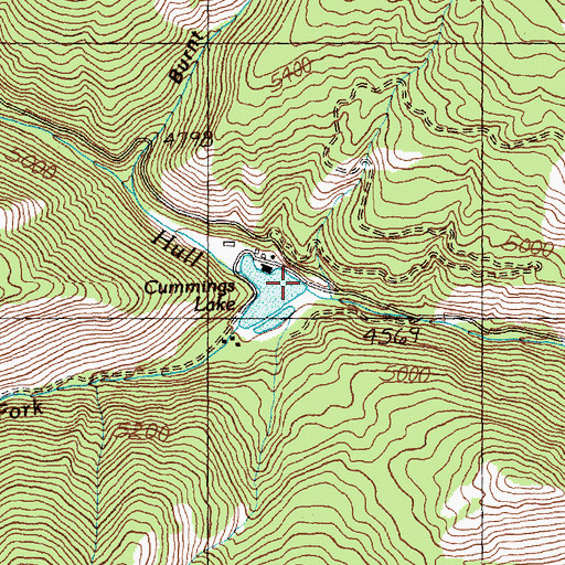 Topographic Map of Cummings Dam, ID