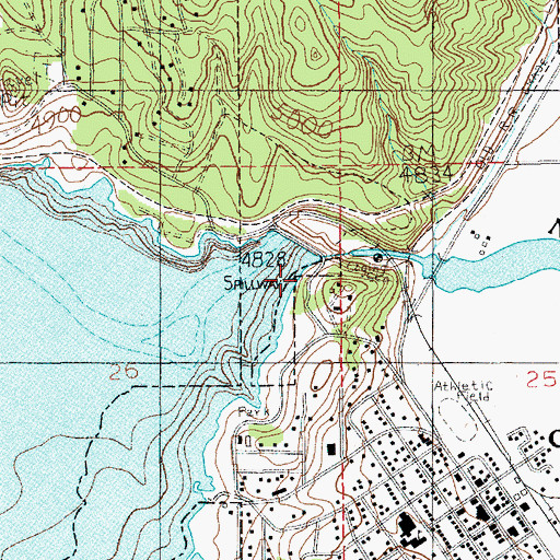 Topographic Map of Cascade Dam, ID