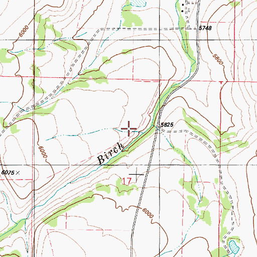 Topographic Map of Birch Creek Dam, ID