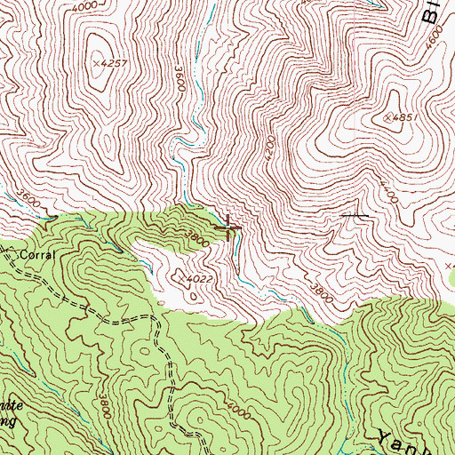 Topographic Map of Yankee Joe Seep, AZ