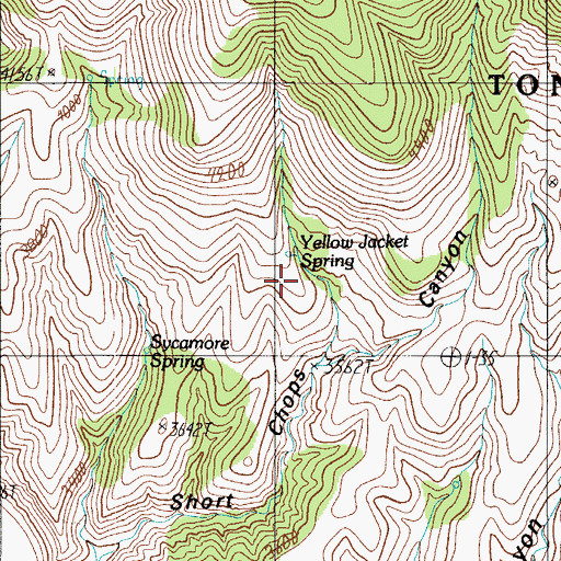 Topographic Map of Yellow Jacket Spring, AZ
