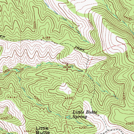 Topographic Map of Yellowjacket Spring, AZ