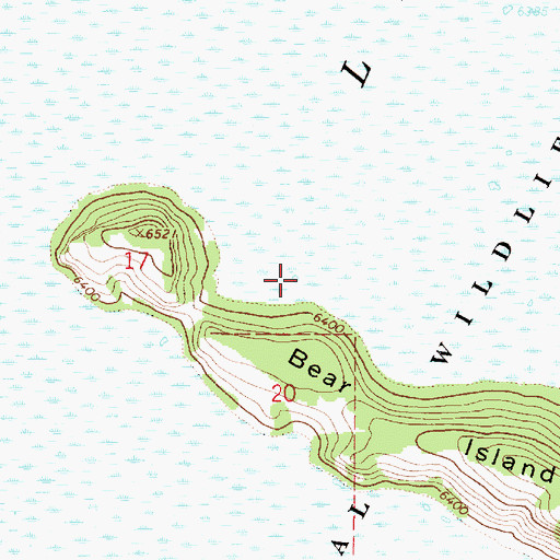 Topographic Map of Grays Lake, ID