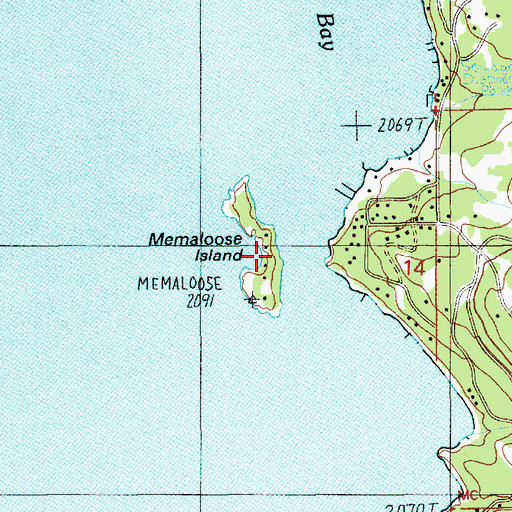 Topographic Map of Memaloose Island, ID