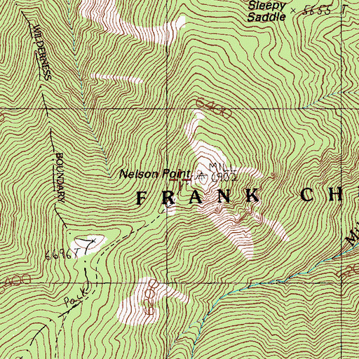 Topographic Map of Nelson Point, ID