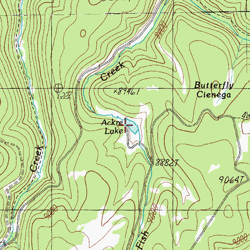 Topographic Map of Aker Lake, AZ