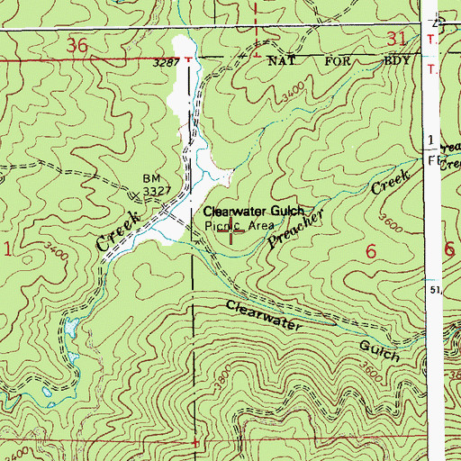 Topographic Map of Clearwater Gulch Picnic Area, ID