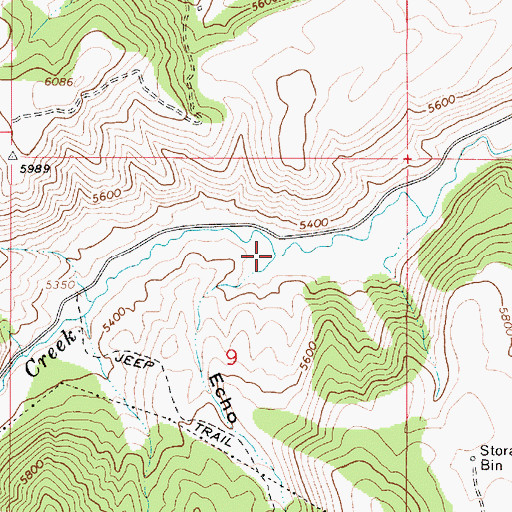 Topographic Map of Echo Creek, ID