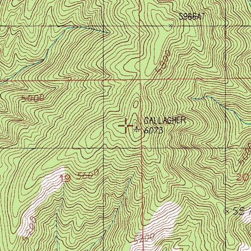 Topographic Map of Gallagher Peak, ID