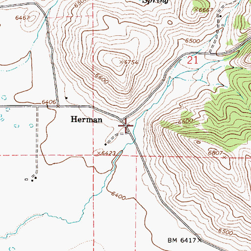 Topographic Map of Herman Ranger Station, ID