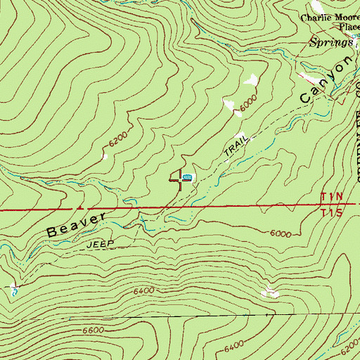 Topographic Map of Beaver Tank, AZ