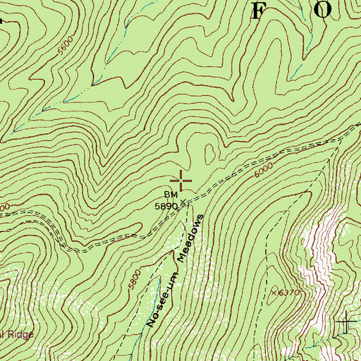 Topographic Map of No-see-um Camp, ID