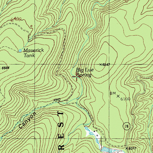Topographic Map of Big Lue Spring, AZ