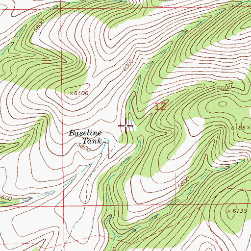 Topographic Map of Black Tank, AZ