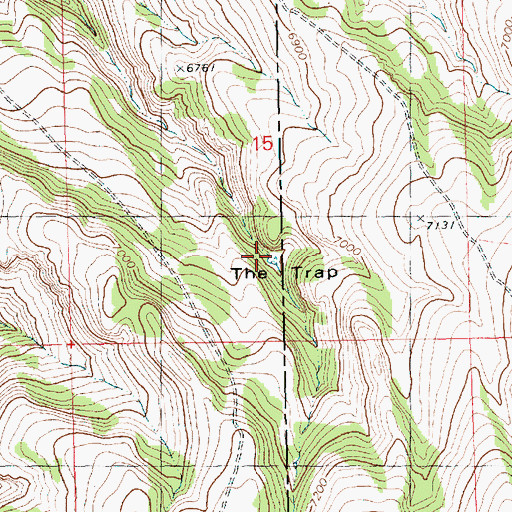 Topographic Map of The Trap, ID