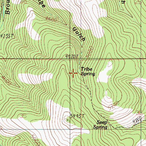 Topographic Map of Tribe Spring, ID
