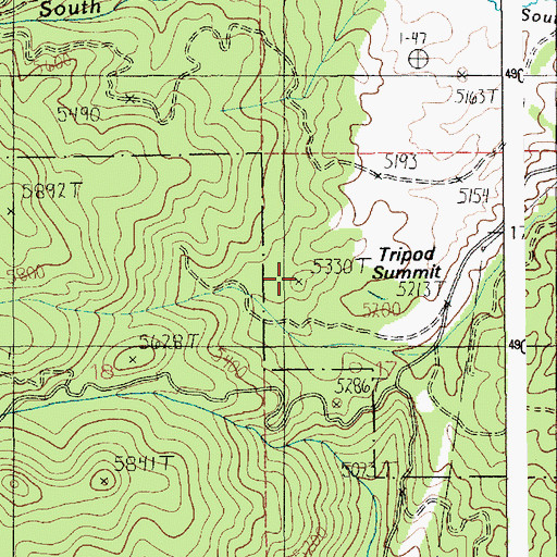 Topographic Map of Tripod Summit, ID