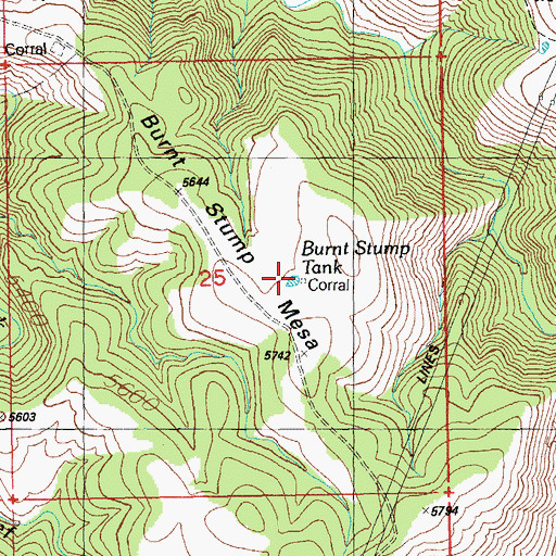 Topographic Map of Burnt Stump Tank, AZ