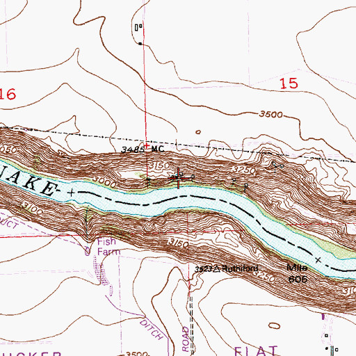 Topographic Map of Ellisons Spring, ID