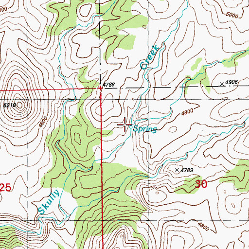 Topographic Map of Coyote Spring, AZ