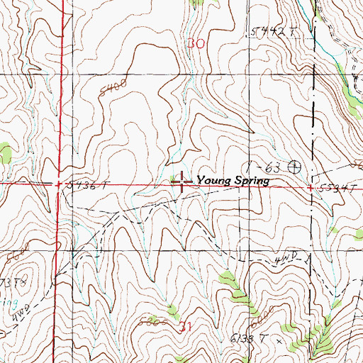 Topographic Map of Young Spring, ID