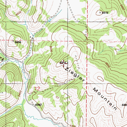 Topographic Map of Ziegler Mountain, ID