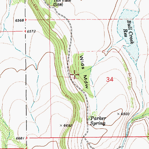 Topographic Map of Wids Meadow, ID