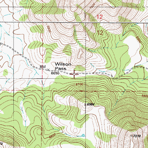 Topographic Map of Wilson Pass, ID