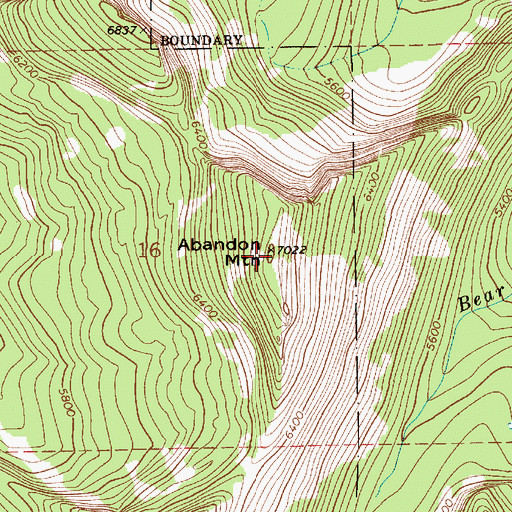 Topographic Map of Abandon Mountain, ID