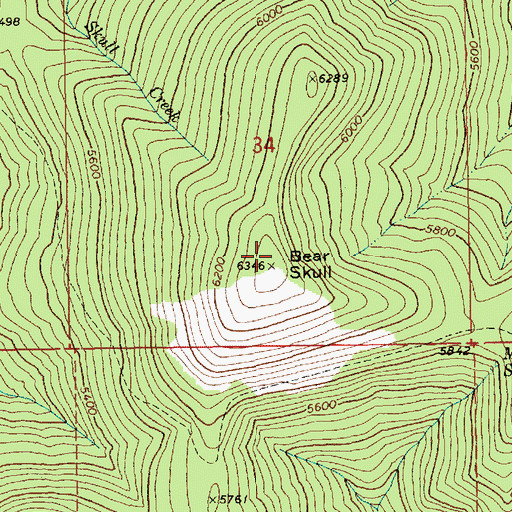 Topographic Map of Bear Skull, ID