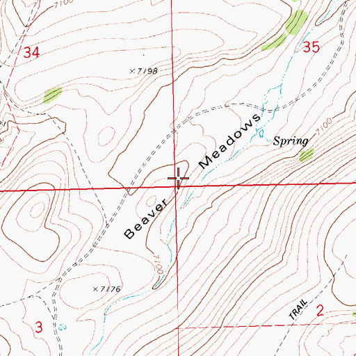 Topographic Map of Beaver Meadows, ID