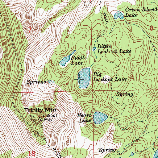 Topographic Map of Big Lookout Lake, ID