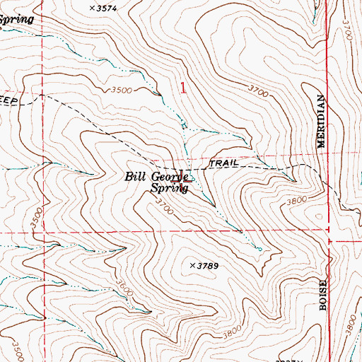 Topographic Map of Bill George Spring, ID