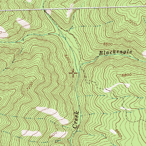 Topographic Map of Blackeagle Creek, ID