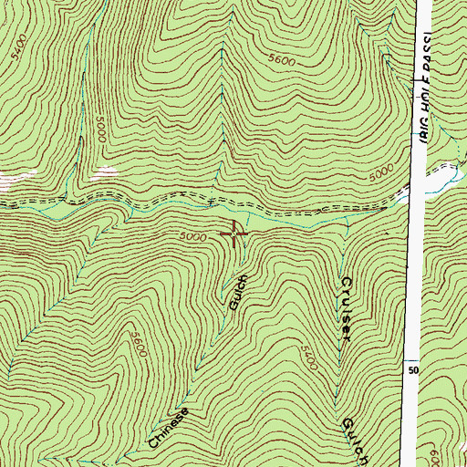 Topographic Map of Chinese Gulch, ID