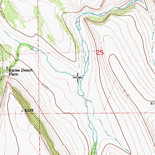 Topographic Map of East Fork Bull Creek, ID