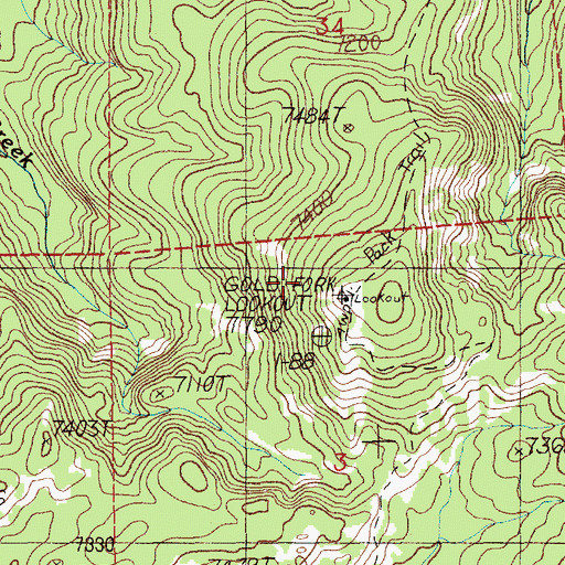 Topographic Map of Gold Fork Lookout, ID
