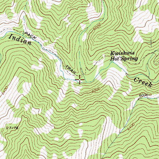 Topographic Map of Kwiskwis Creek, ID