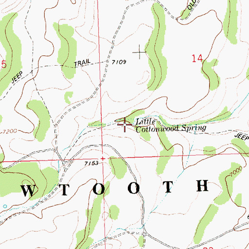Topographic Map of Little Cottonwood Spring, ID