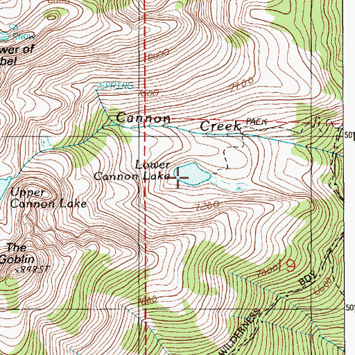 Topographic Map of Lower Cannon Lake, ID