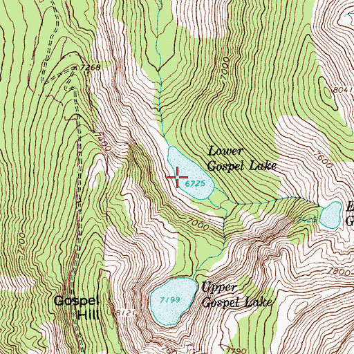Topographic Map of Lower Gospel Lake, ID