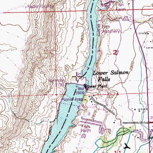 Topographic Map of Lower Salmon Falls, ID