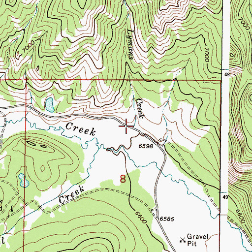 Topographic Map of Lymans Creek, ID