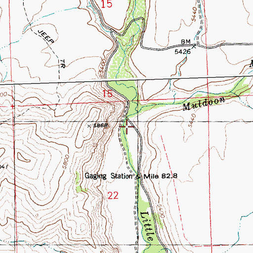 Topographic Map of Muldoon Creek, ID