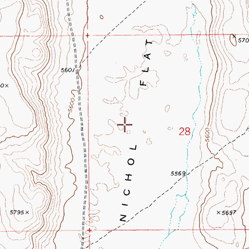 Topographic Map of Nichol Flat, ID