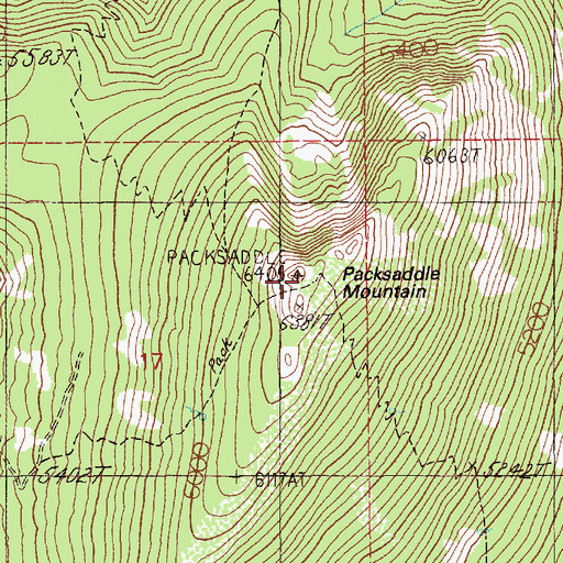 Topographic Map of Packsaddle Mountain, ID